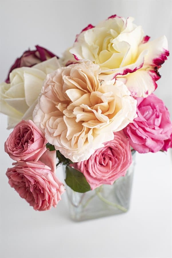 Rose Bouquet